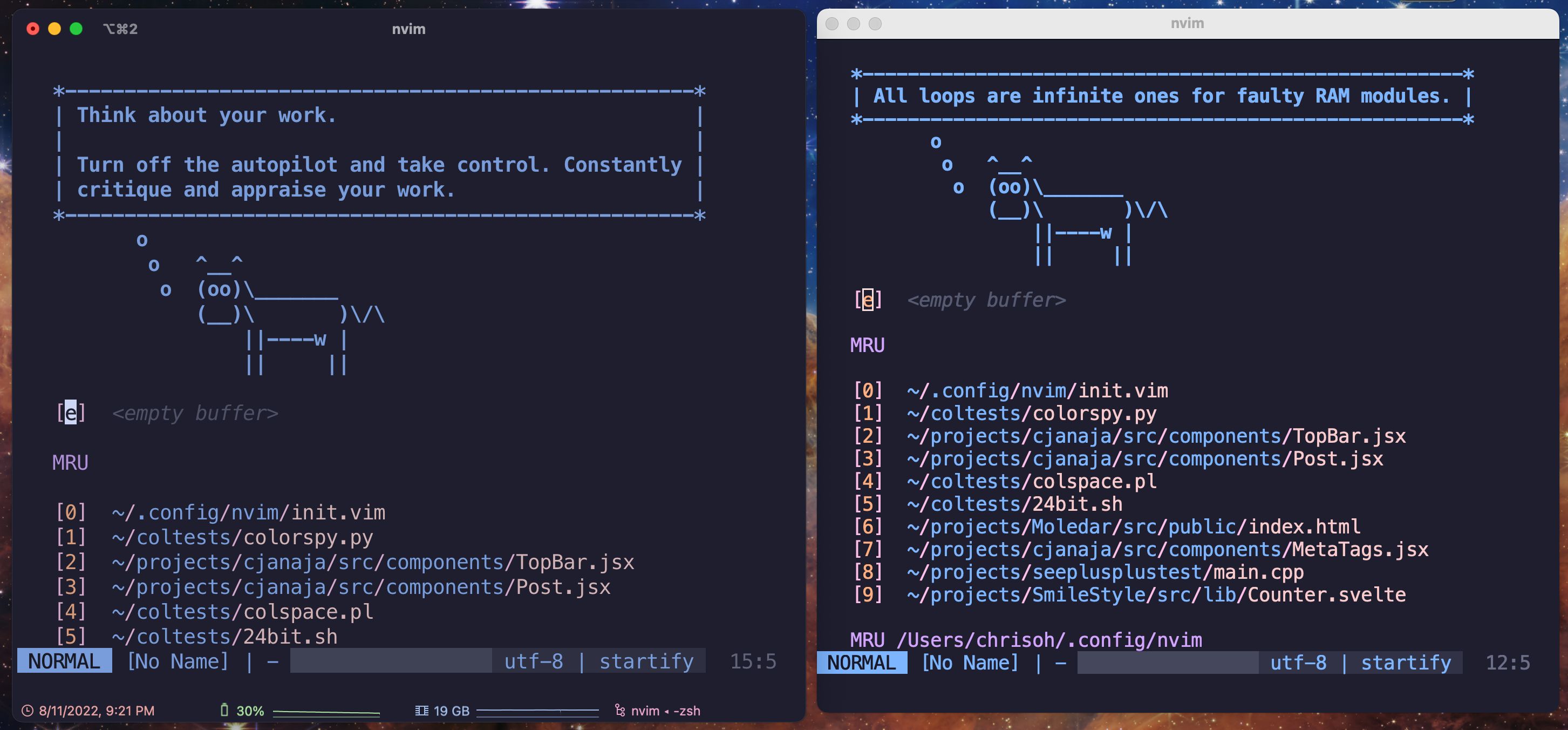 iterm2 on the left and alacritty on the right, with different text weights