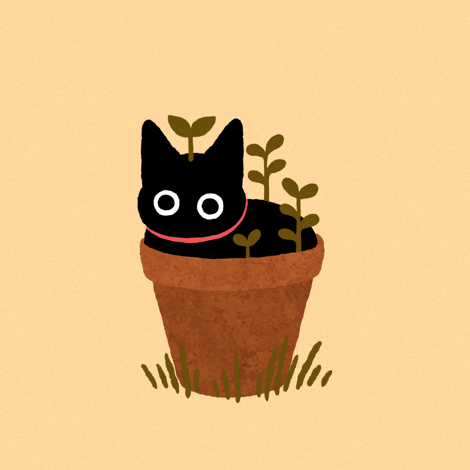 lil cat